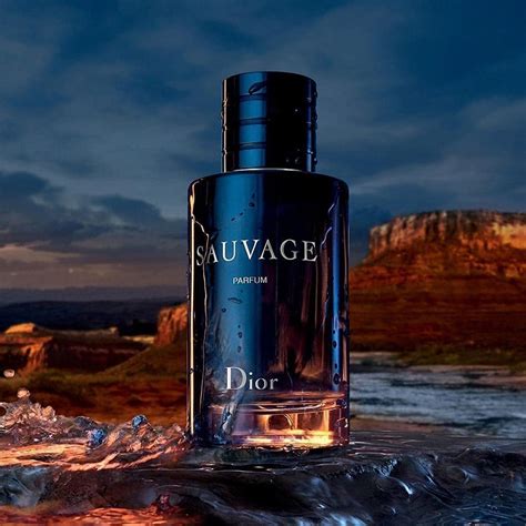 dior sauvage price 200ml|sauvage parfum best price.